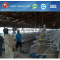 Chicken Farm Layer Cage